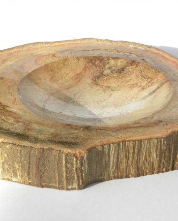 Fossilised Wood Dish/bowl