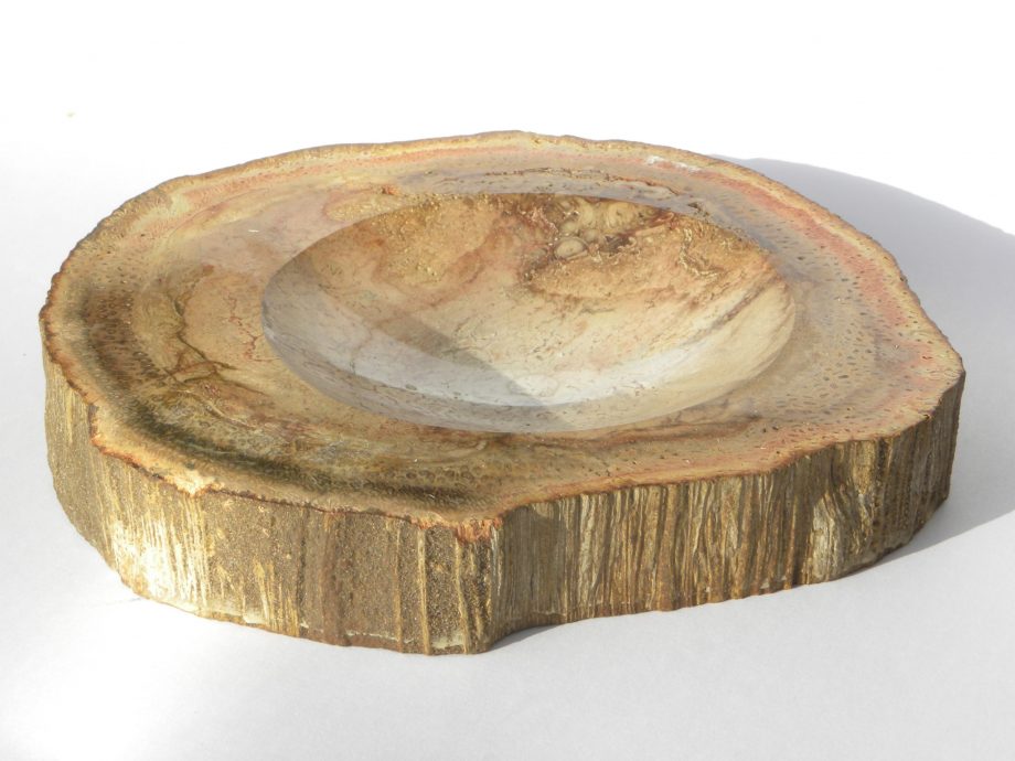 Fossilised Wood Dish/bowl