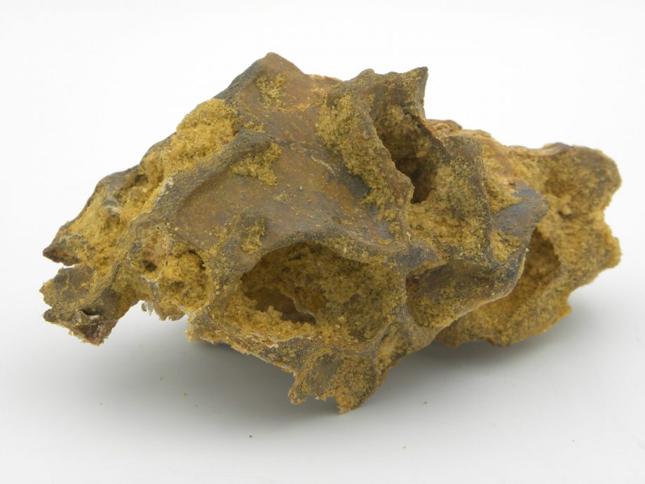 Fossilised Dinosaur Bone from Kem-Kem Beds Morocco