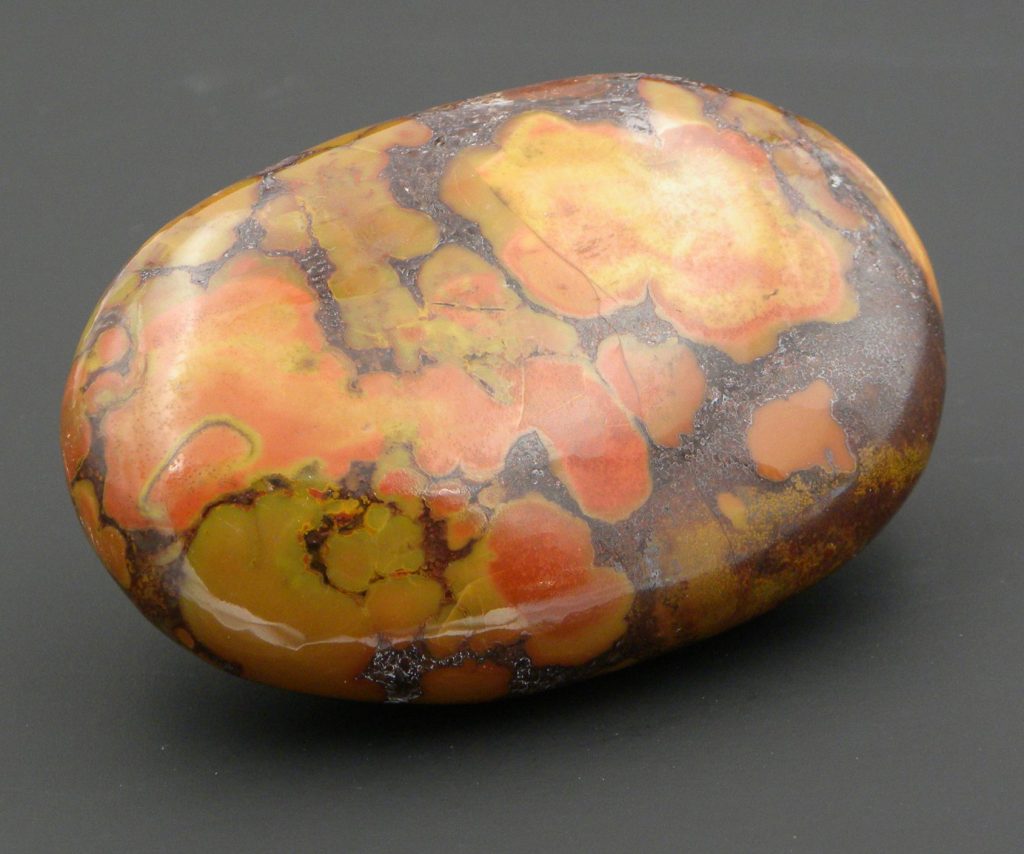 King Cobra Jasper Polished Stone or Pebble, the councillors stone