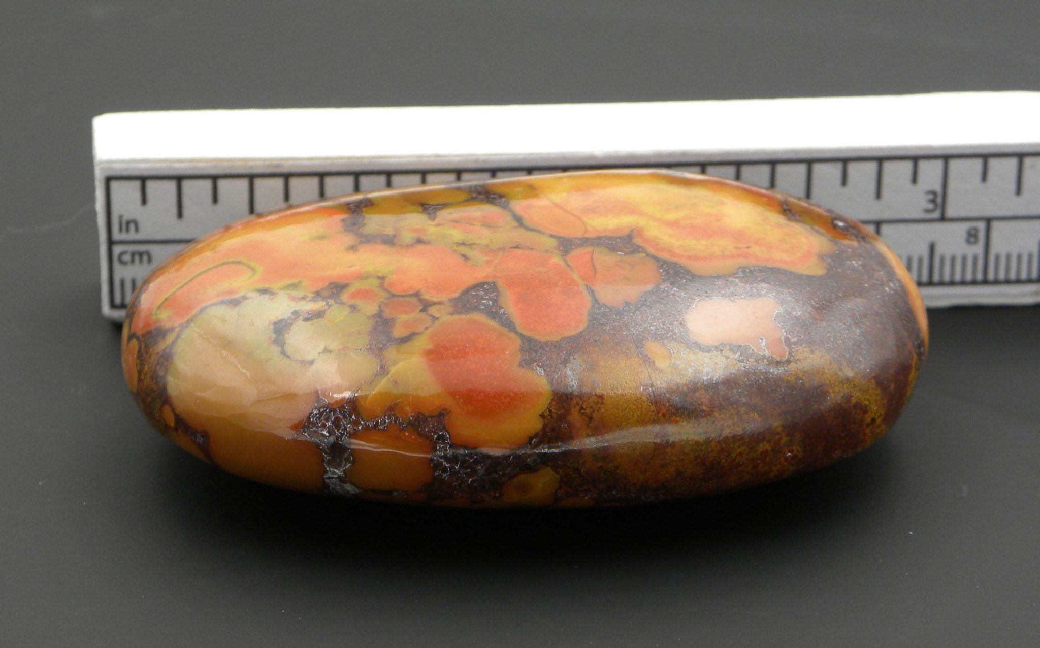 King Cobra Jasper Polished Stone or Pebble, the councillors stone