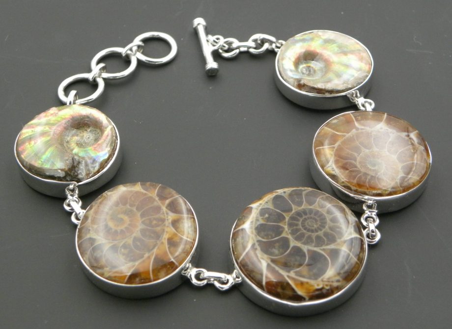 Large Ammonite Bracelet