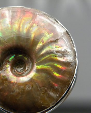 Ammonite Pendant Opalescent