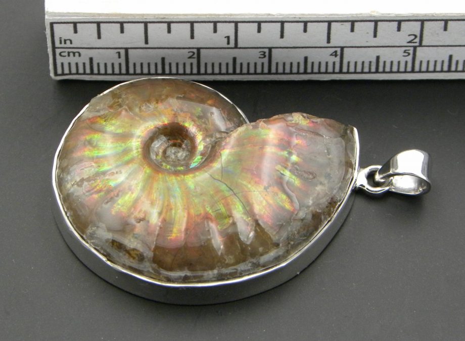 Ammonite Pendant Opalescent