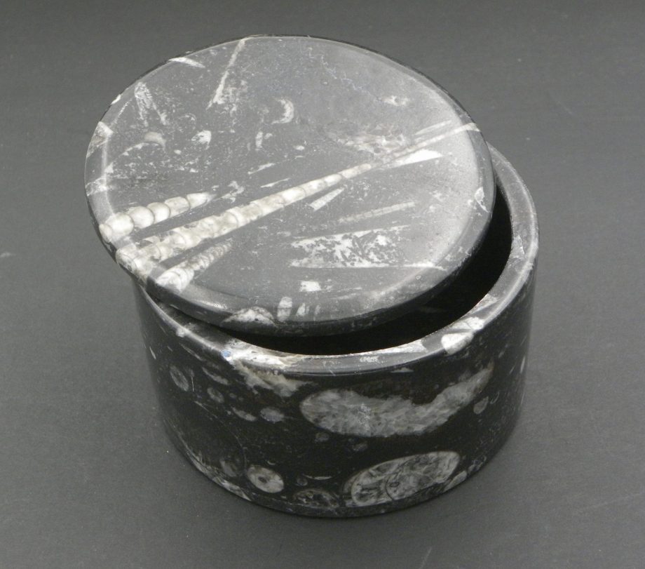 Round box with numerous orthoceras nautiloid fossils