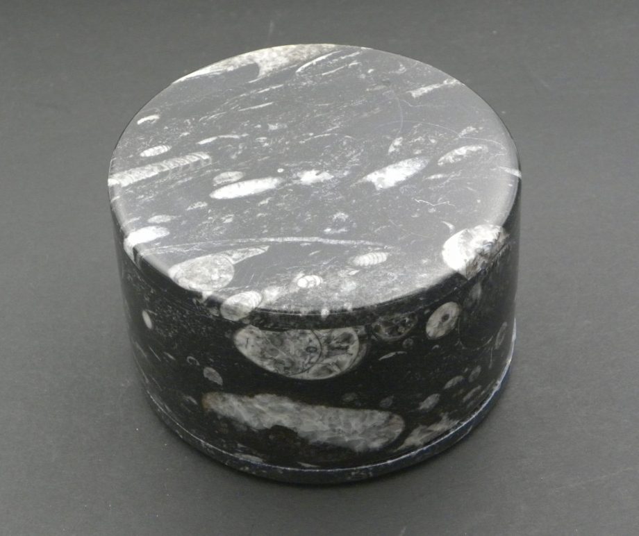 Round box with numerous orthoceras nautiloid fossils