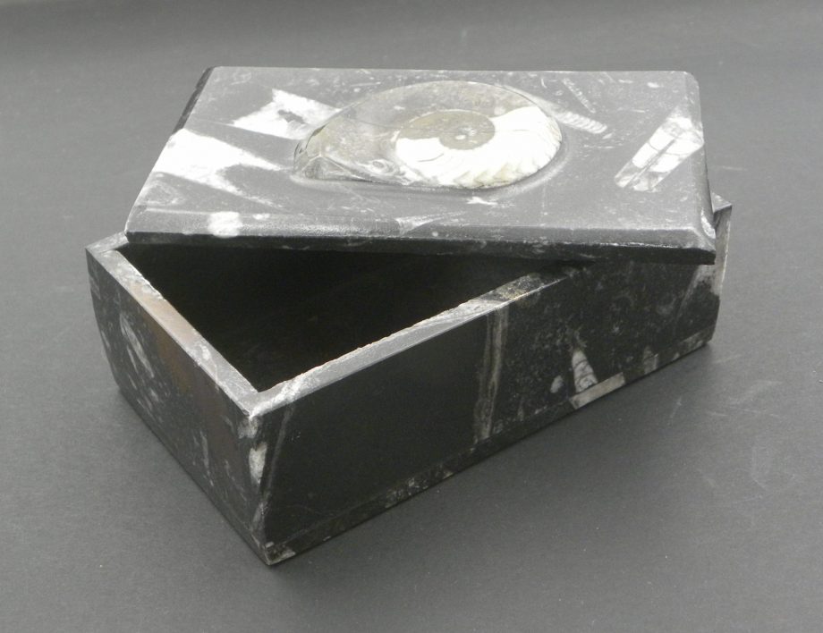 Rectangular goniatite box