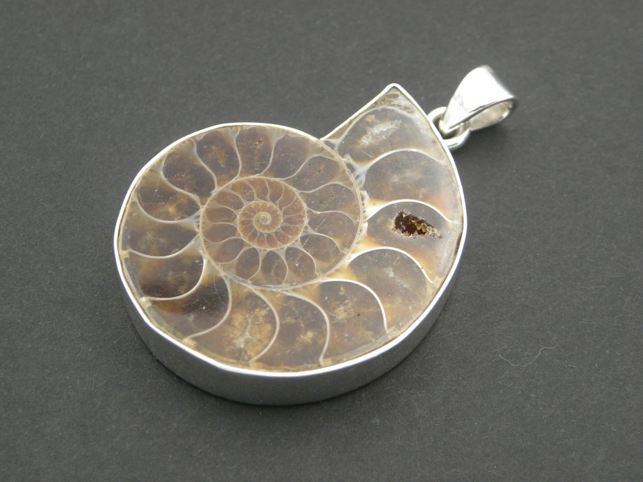 Large Ammonite Pendant