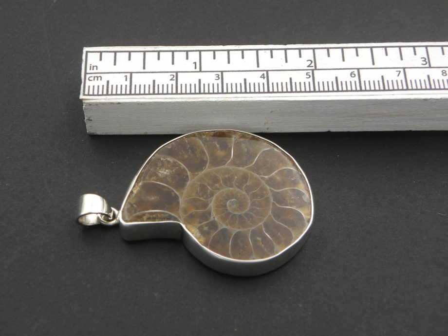 Large Ammonite Pendant