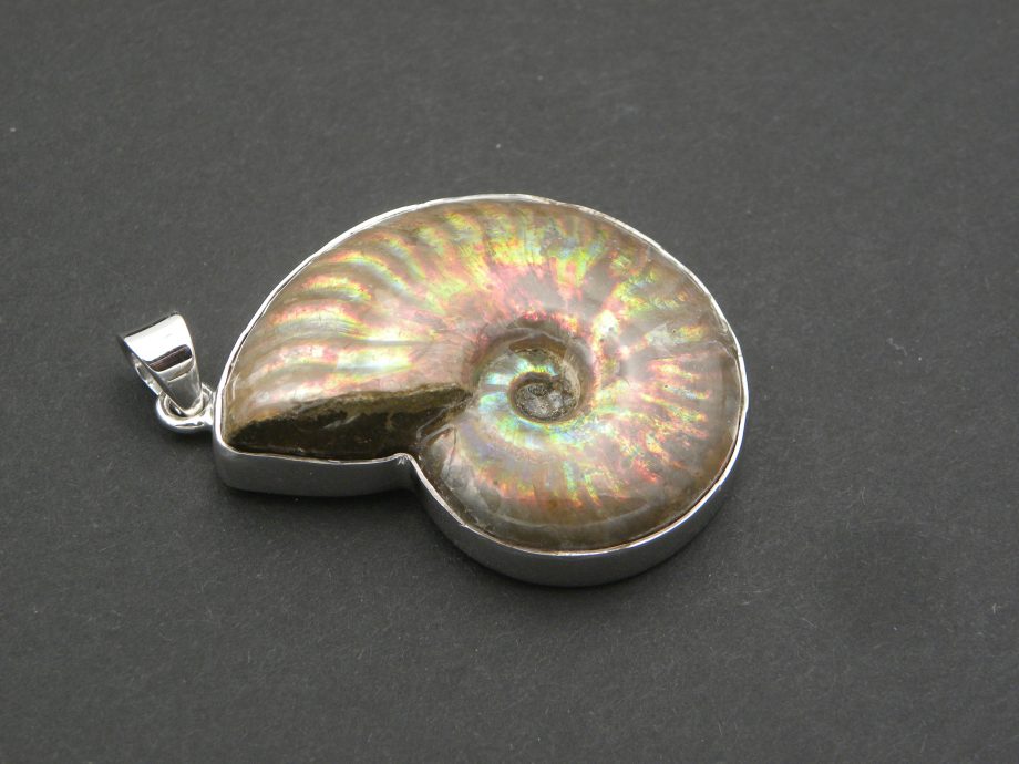 Iridescent Ammonite Pendant