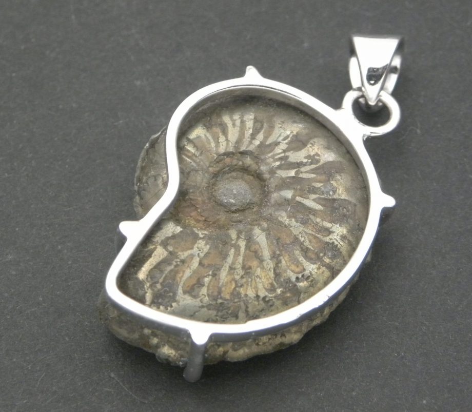 Pyrite Ammonite Pendant
