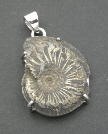 Pyrite Ammonite Pendant