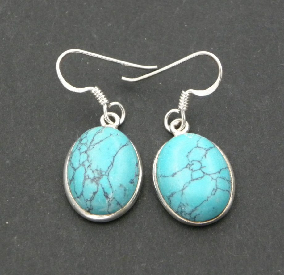 Blue Howlite Oval drop earrings