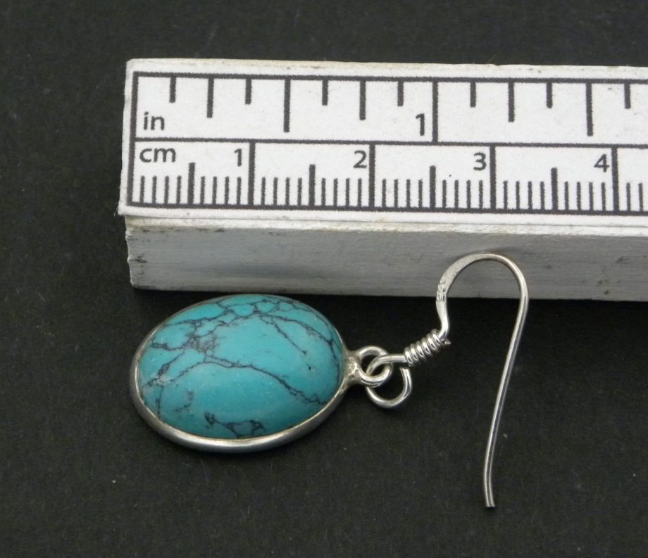 Blue Howlite Oval drop earrings