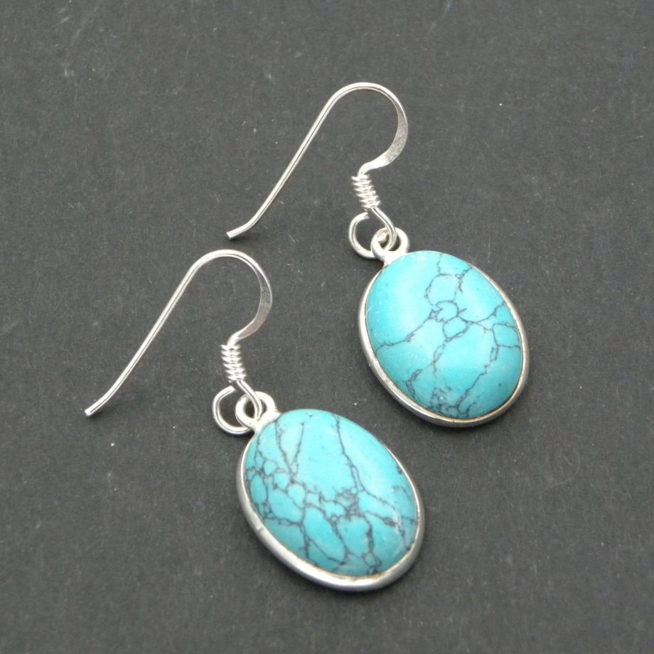 Blue Howlite Oval drop earrings