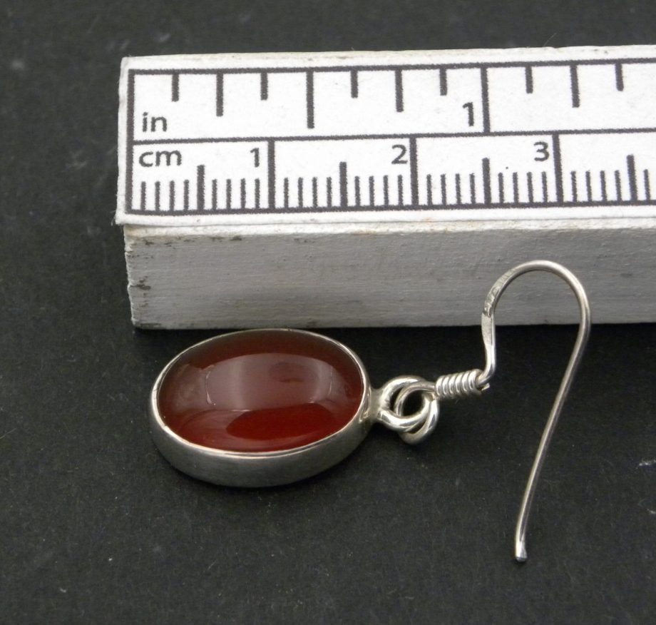 Oval Carnelian Earrings