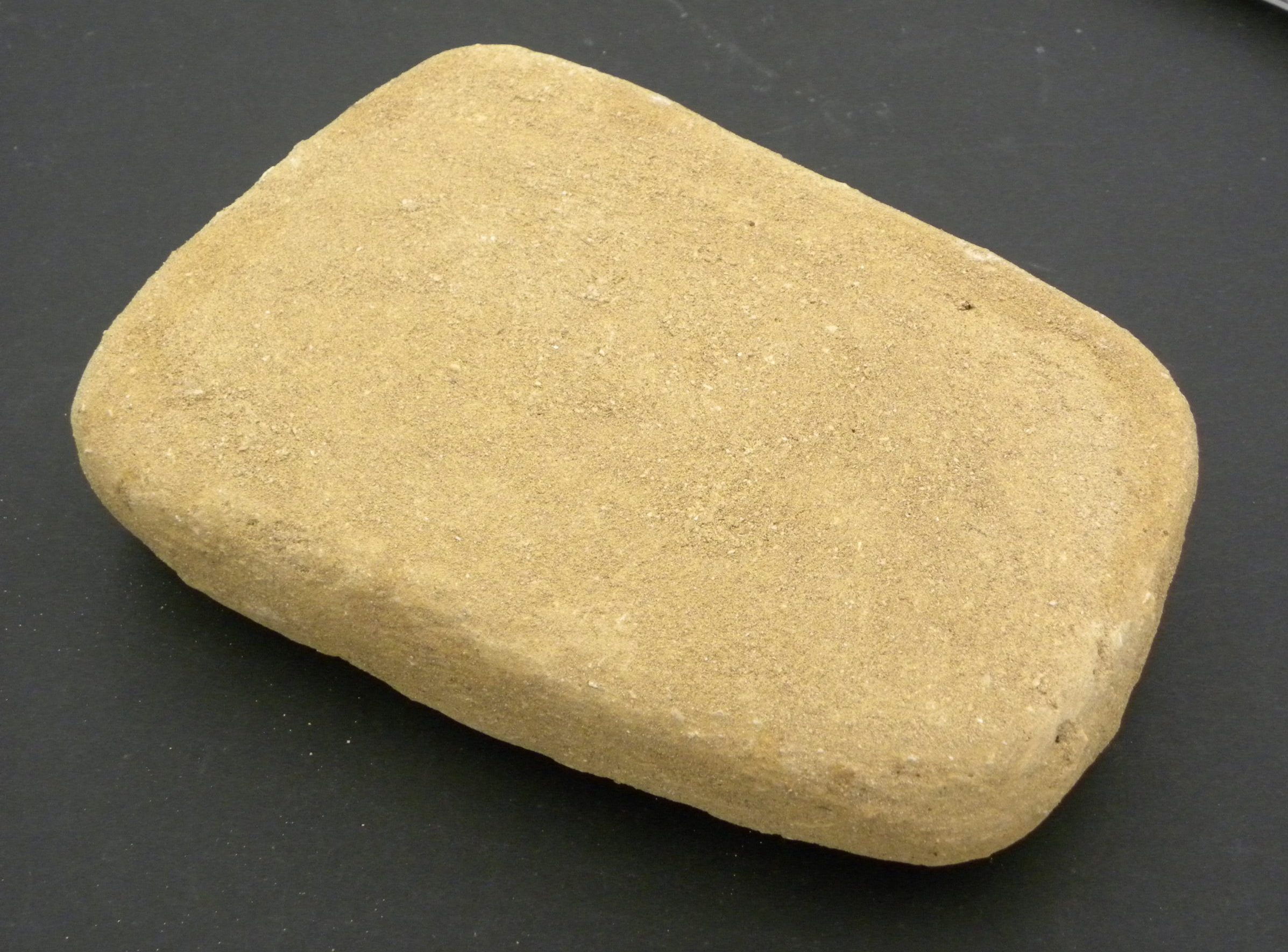 Fossilised Mosasaur Jaw & Teeth