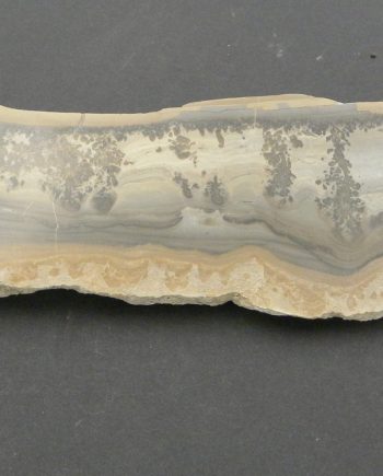 Large Slice of Cotham Marble 20cm 