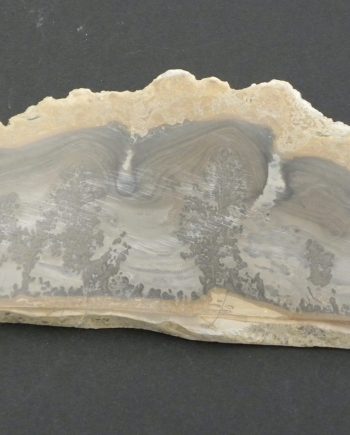 Slice of Cotham Marble