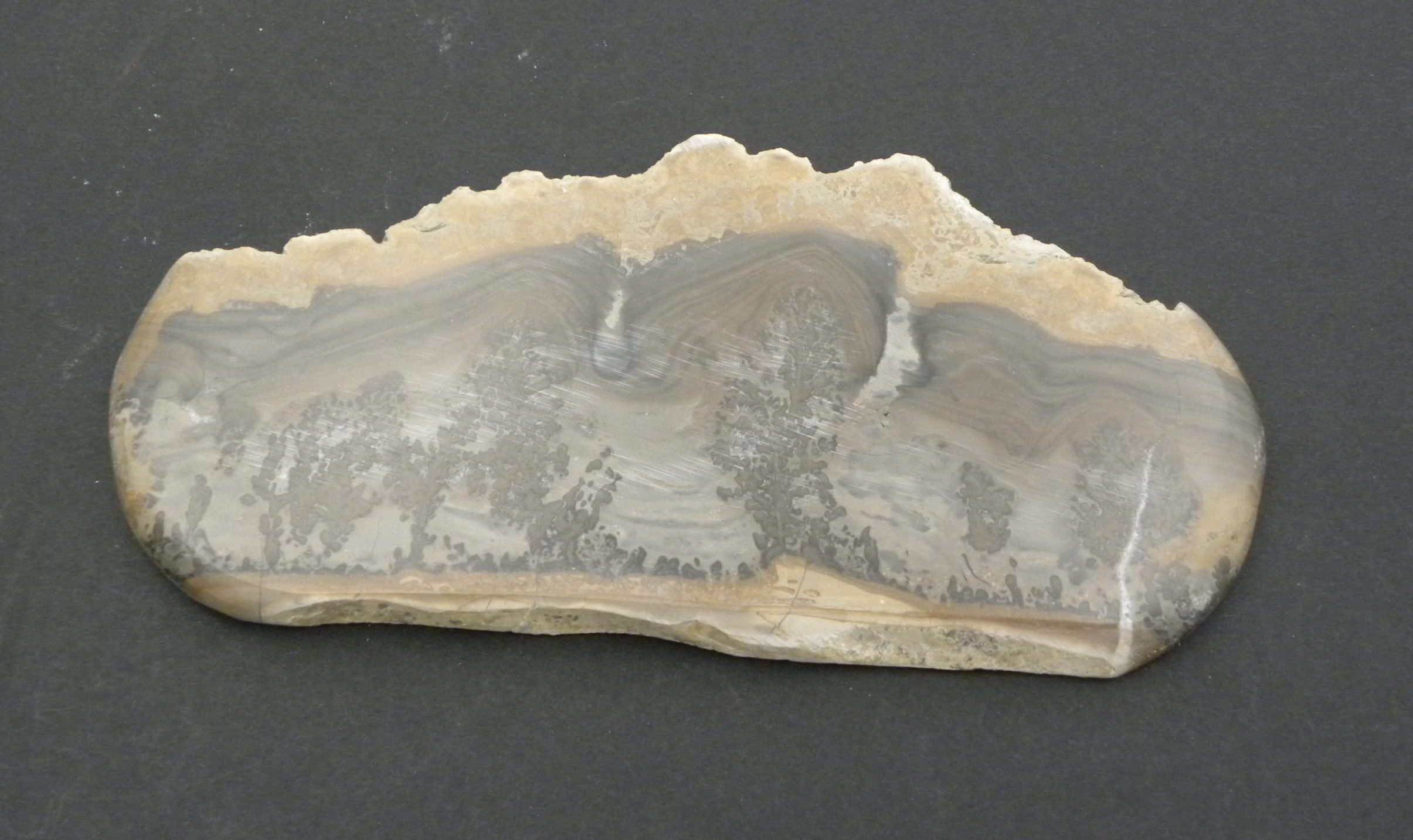 Slice of Cotham Marble